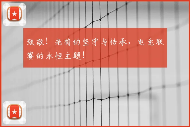 致敬！老将的坚守与传承，电竞联赛的永恒主题！